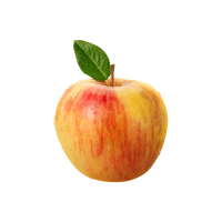 Honeycrisp | Types of Apples
