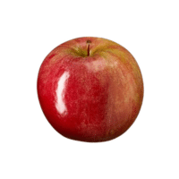 Idared | Types of Apples