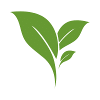 Leaf | Irregular Shapes