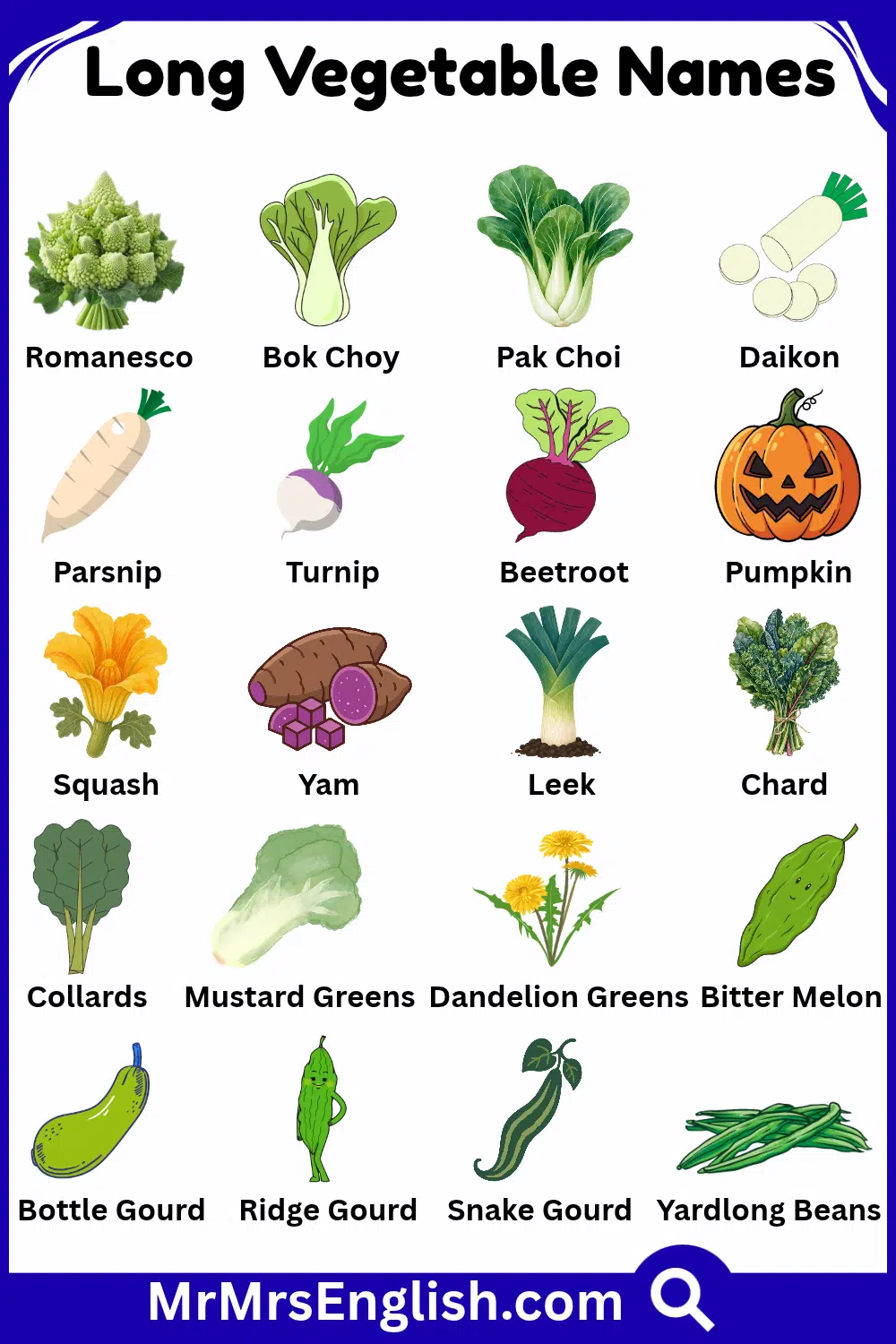 Learn 20 Names of Long Vegetables with Pictures