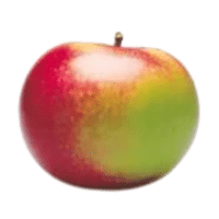 McIntosh | Types of Apples