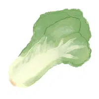Mustard Greens | Long Vegetable Names