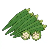 Okra | Long Vegetable Names