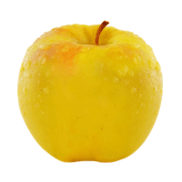 Opal | Types of Apples