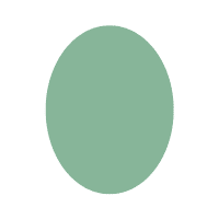 Oval | Basic Shapes