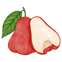 Pacific Rose | Types of Apples
