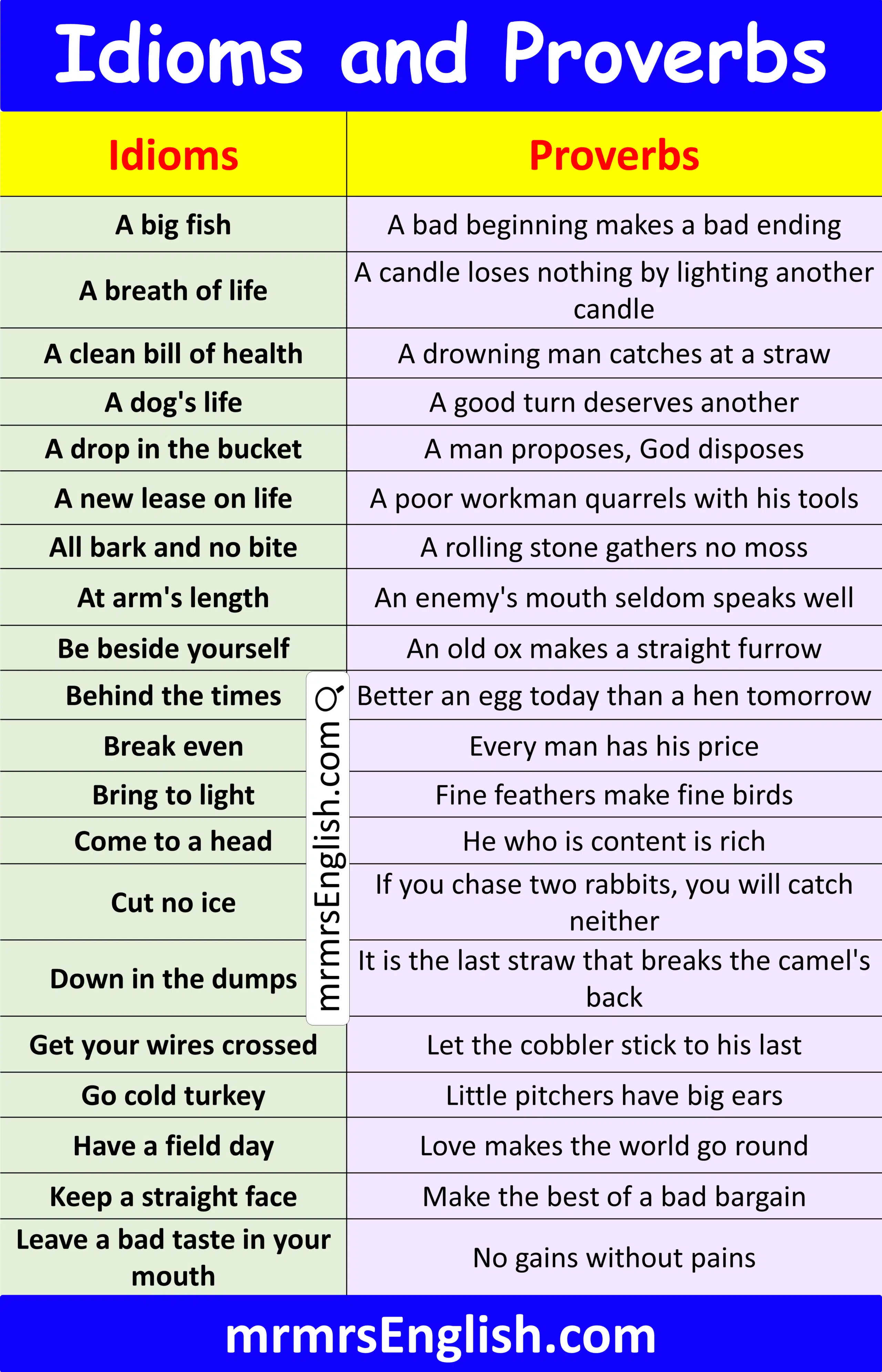 Proverbs and Idioms for Students