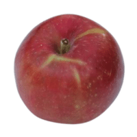 Red Astrachan | Types of Apples