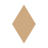 Rhombus | Basic Shapes