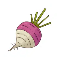 Rutabaga | Long Vegetable Names