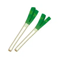 Scallion | Long Vegetable Names