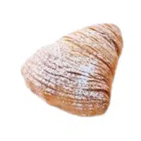 Sfogliatella | Italian Food Names