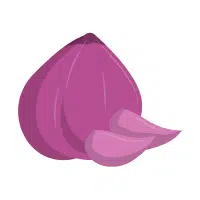 Shallot | Long Vegetable Names