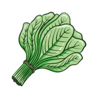 Spinach | Long Vegetable Names