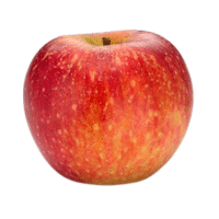Stayman | Types of Apples