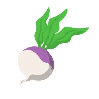 Turnip | Long Vegetable Names