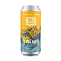 Vienna Lager | Types of Beer