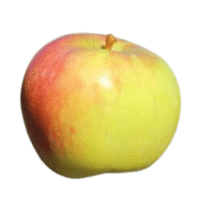York Imperial | Types of Apples