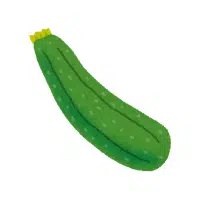 Zucchini | Long Vegetable Names