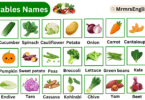 Vegetables Vocabulary Words with Sentences in English