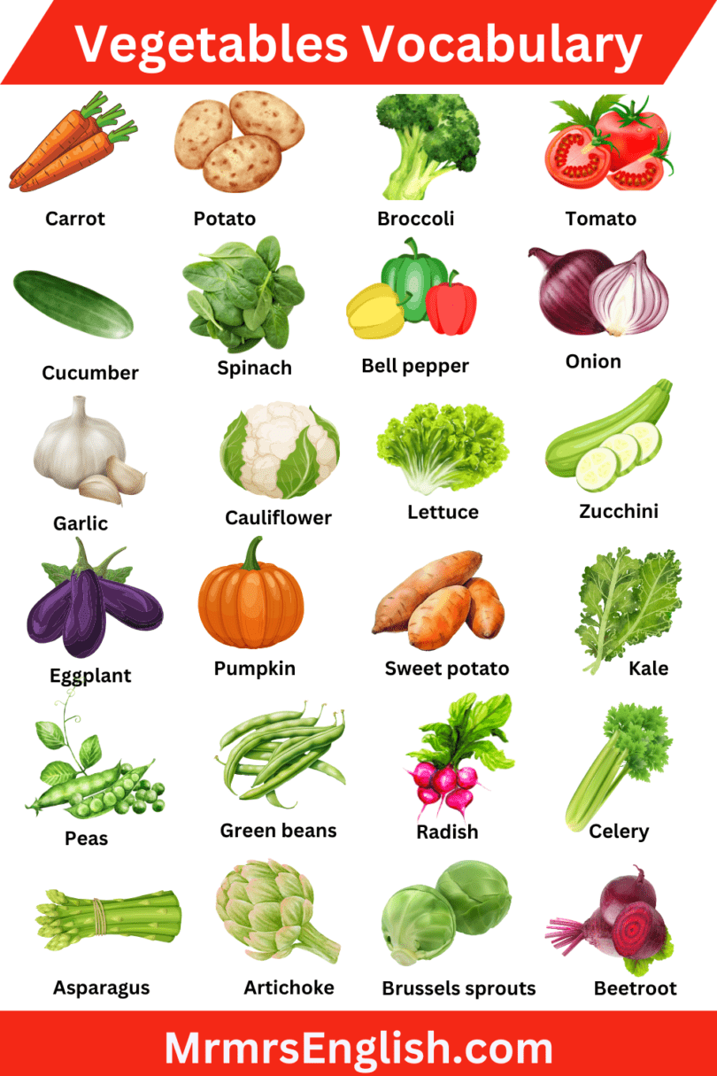 Vegetables Vocabulary Words with Pictures in English - MR MRS ENGLISH