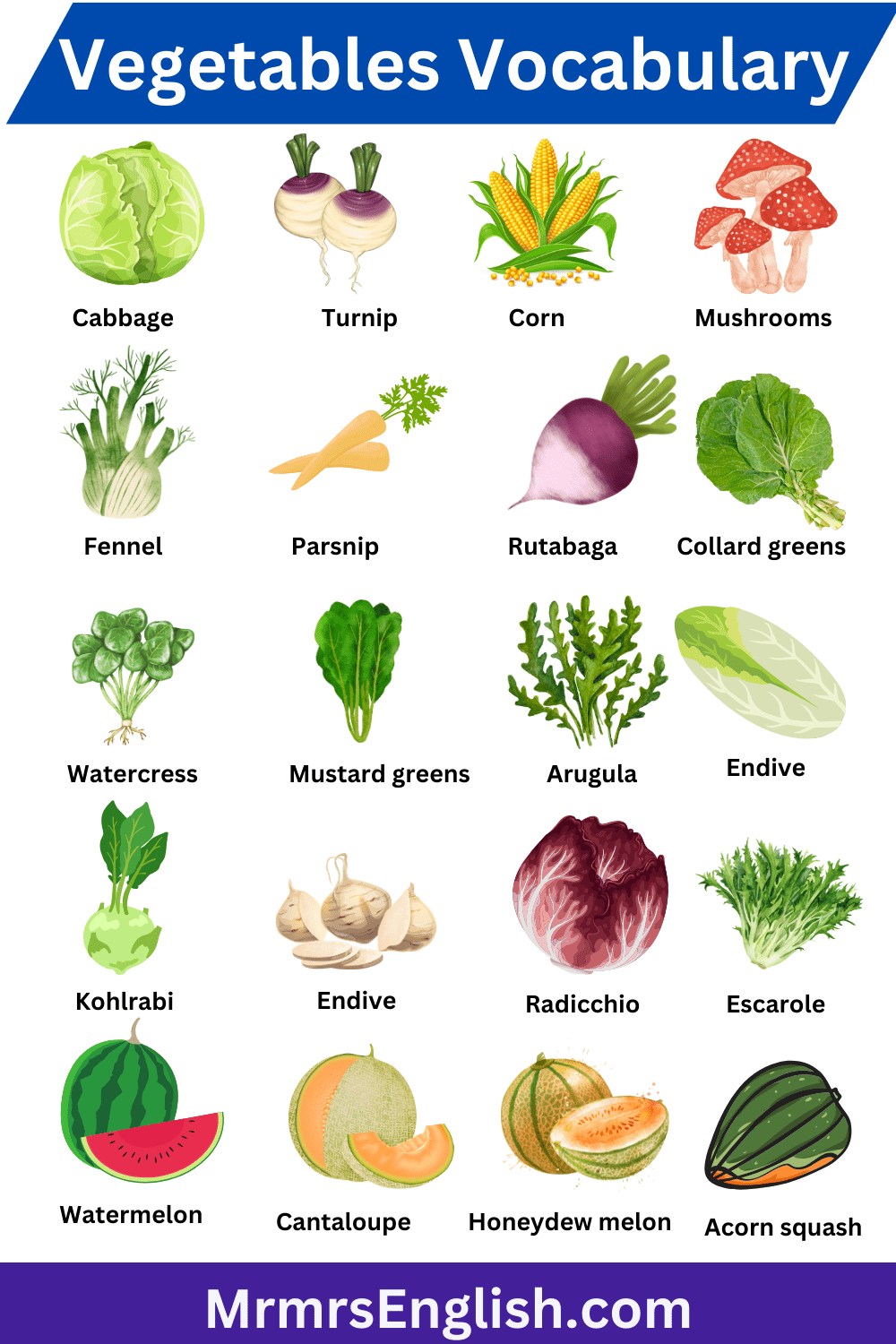 Vegetables Vocabulary Words with Pictures in English - MR MRS ENGLISH