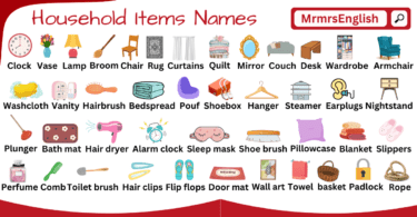House items Vocabulary Words With Sentences in English