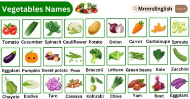 Vegetables Names Vocabulary Words with Pictures