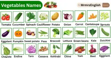 Vegetables Names Vocabulary Words with Pictures