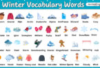 Winter Vocabulary Words in English | List of Words About Winter