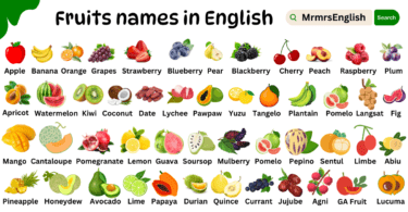 Dry Fruits Name in English with Their Pictures - MR MRS ENGLISH