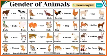 Masculine and Feminine Gender of Animals in English