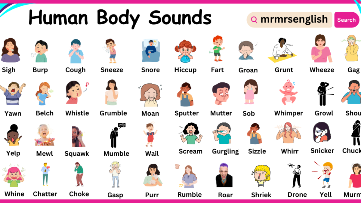 Human Body Sounds Names in English with Images - MR MRS ENGLISH