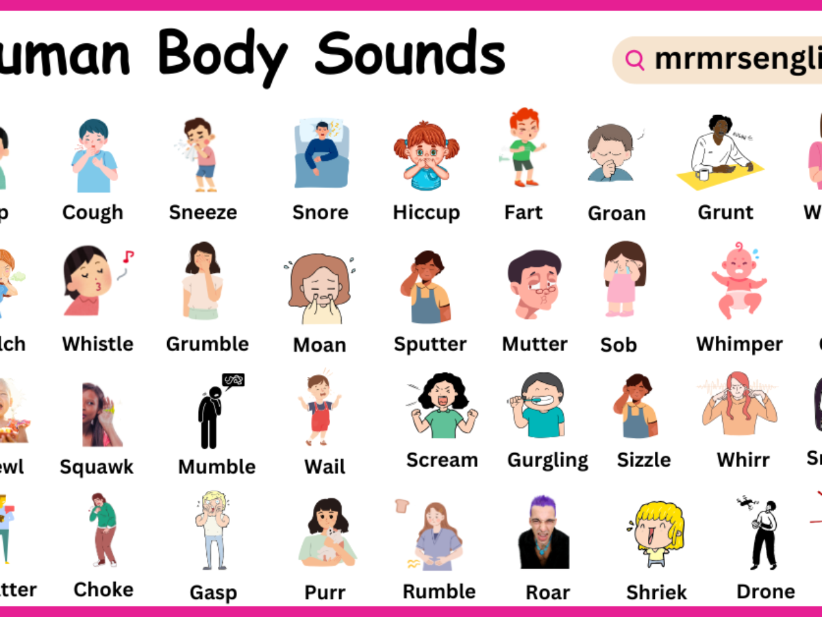 Human Body Sounds Names in English with Images - MR MRS ENGLISH