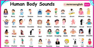 Human Body Sounds Names in English with Images