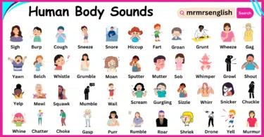 Human Body Sounds Names in English with Images