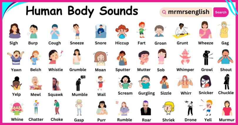 Human Body Sounds Names in English with Images