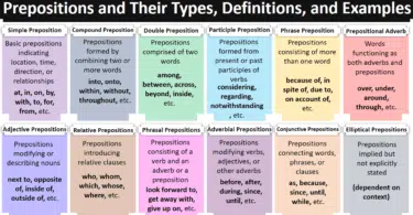 Prepositions and Their Types, Definitions, and Examples