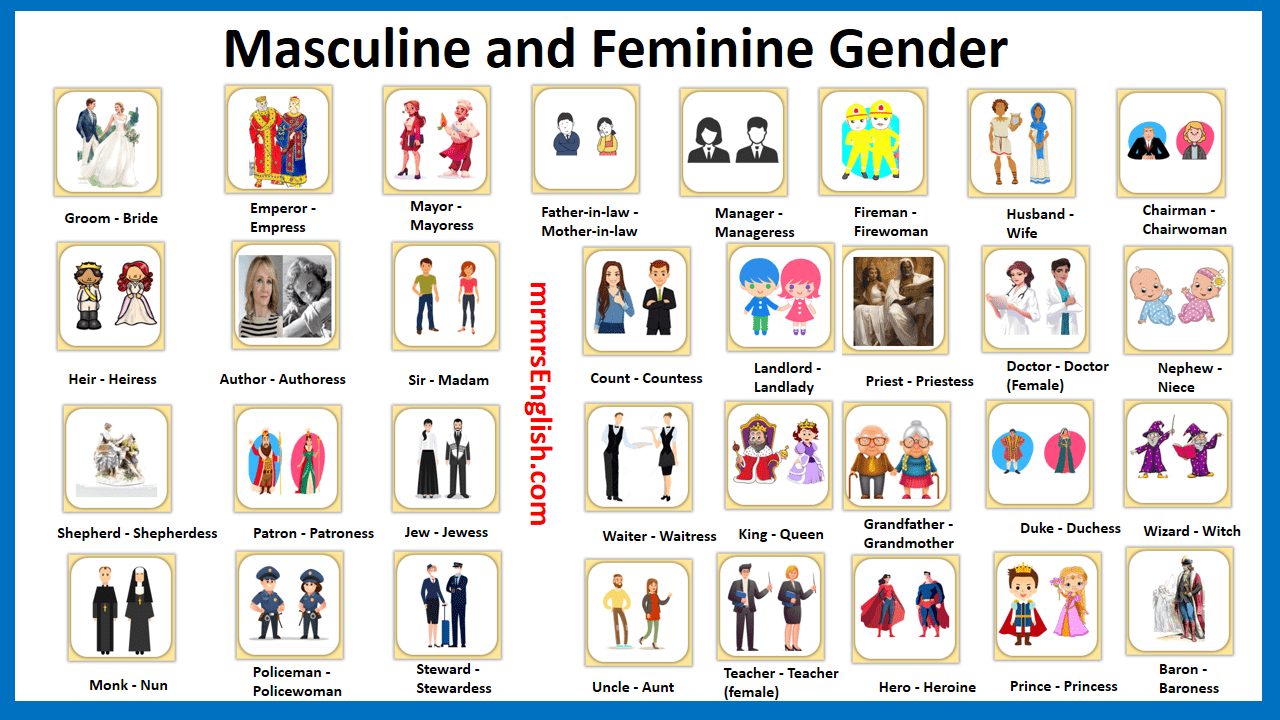 Masculine and Feminine Gender of Nouns Vocabulary words in English - MR ...