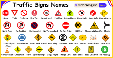 Traffic Signs Name And Their Meanings with Pictures