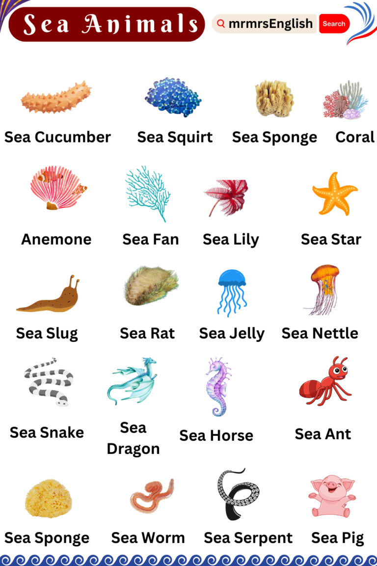 Sea Animals Name in English with Images - MR MRS ENGLISH