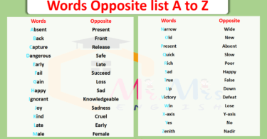 Words Opposite List From A to Z in English