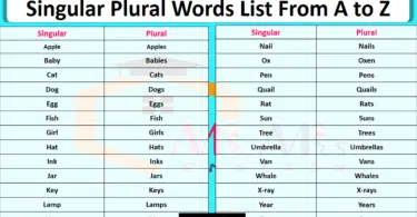 Singular Plural Words List From A to Z in English