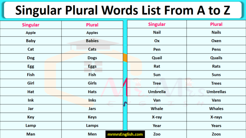 Singular Plural Words List From A to Z in English