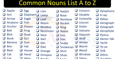 Common Nouns List A to Z | 500+ Common Nouns