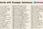 Daily Used Basic English Words with Example Sentences