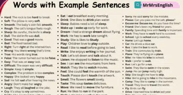 Daily Used Basic English Words with Example Sentences