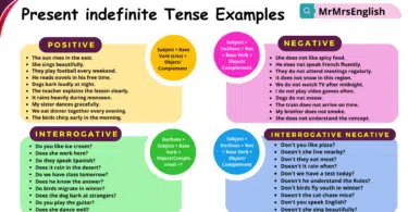 Present indefinite Tense Examples Sentences in English