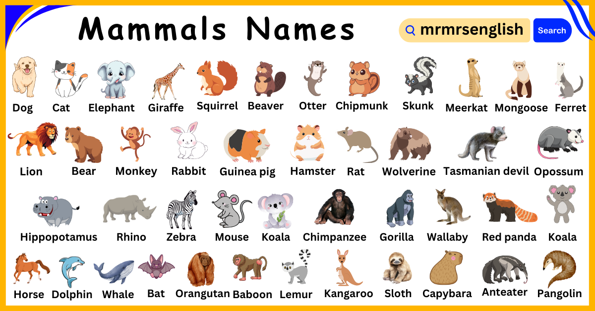 List of Mammals Animals Name in English - MR MRS ENGLISH