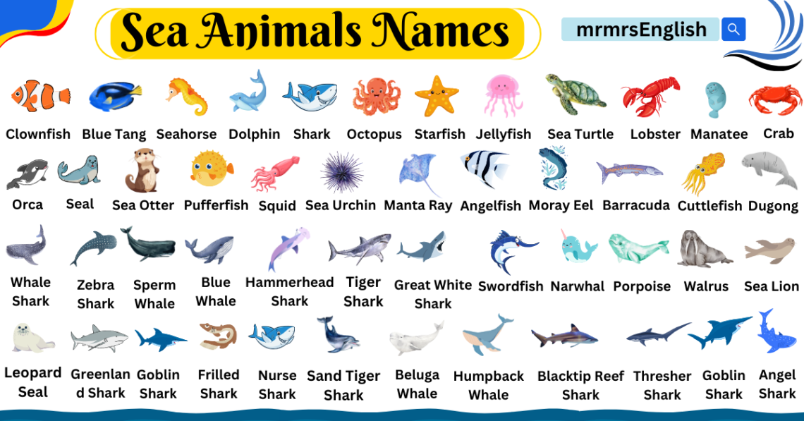 Sea Animals Name in English with Images - MR MRS ENGLISH